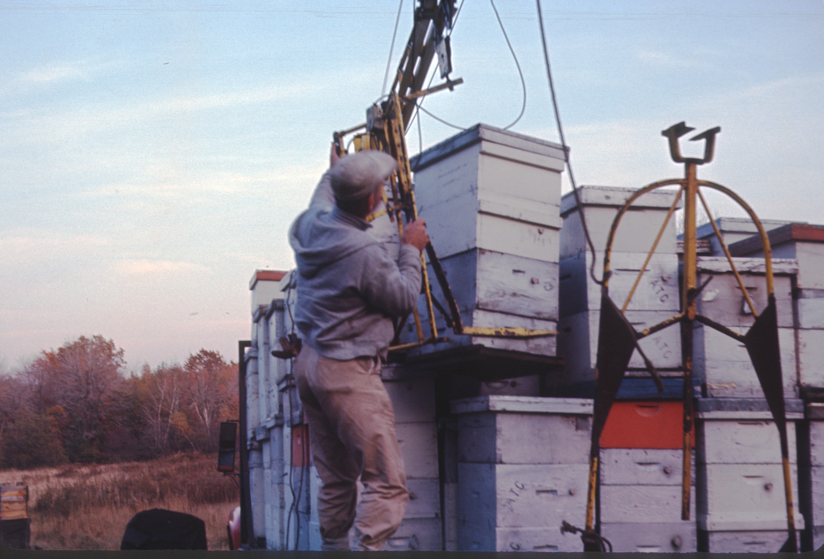 Honey Farming and Beeswax