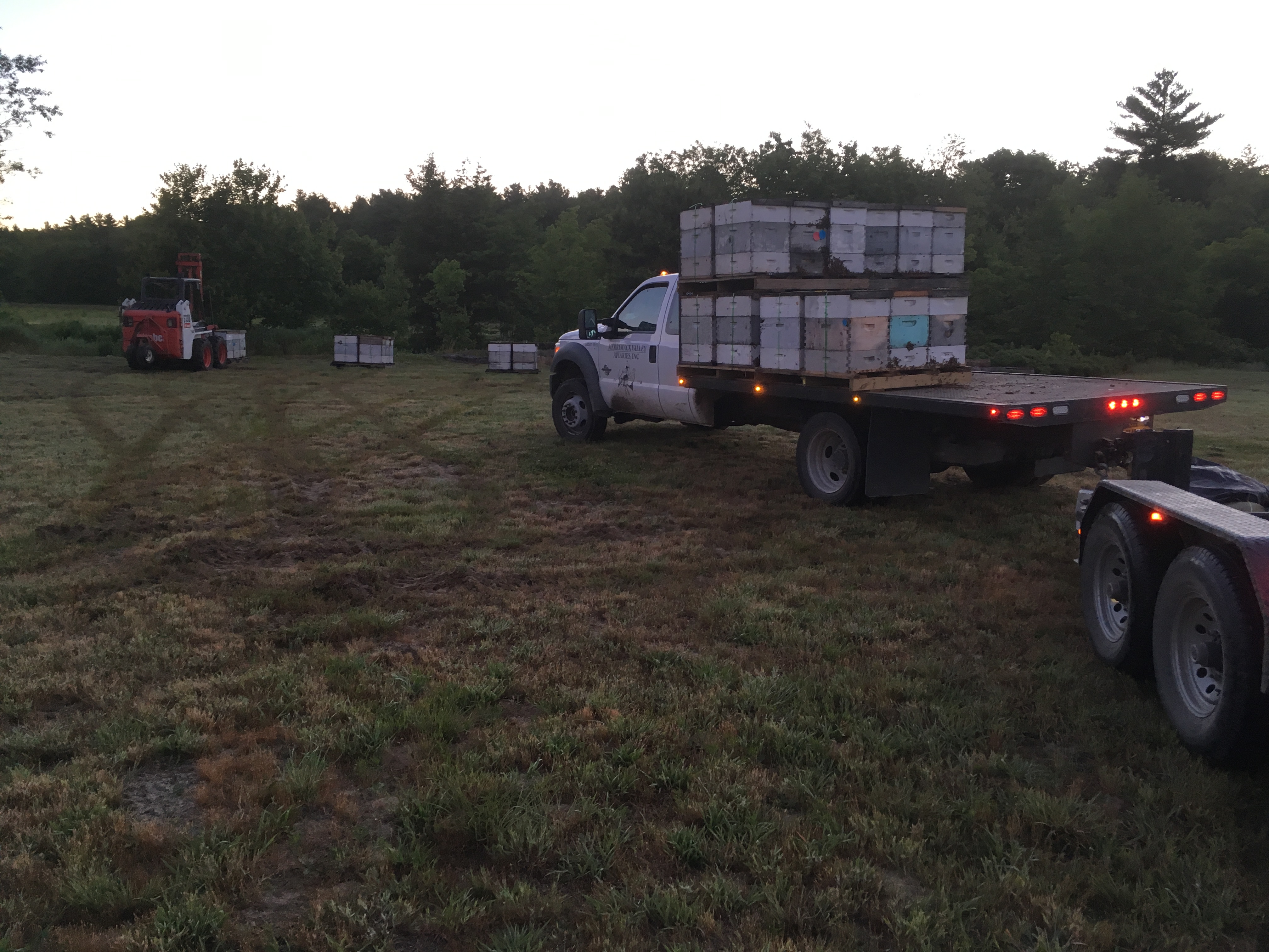 Bee Pollination Services by Merrimack Valley Apiaries